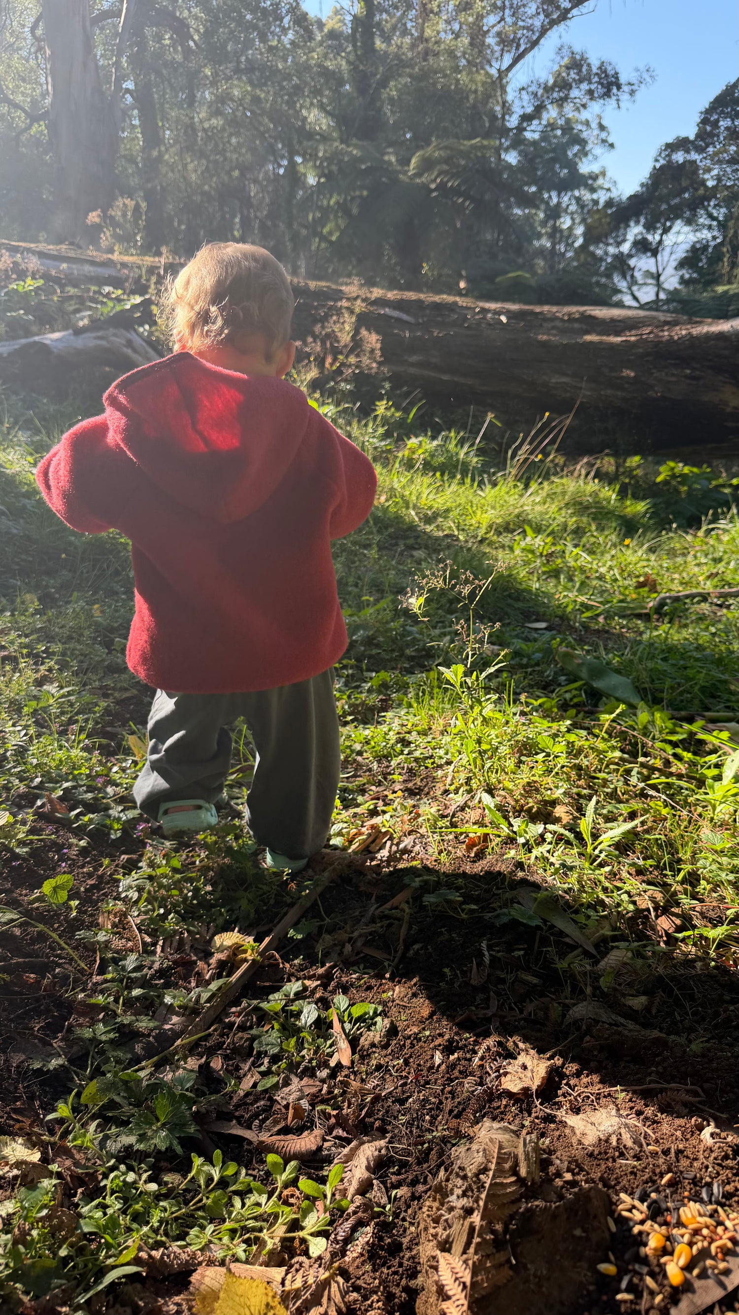 Child wearing Engel Natur Fleece Jacket in Jasper Melange in forest 